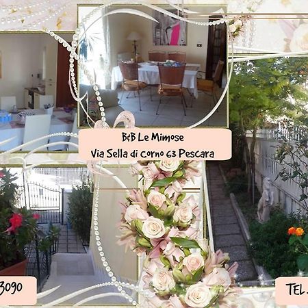 Le Mimose Bed & Breakfast เปสการา ภายนอก รูปภาพ